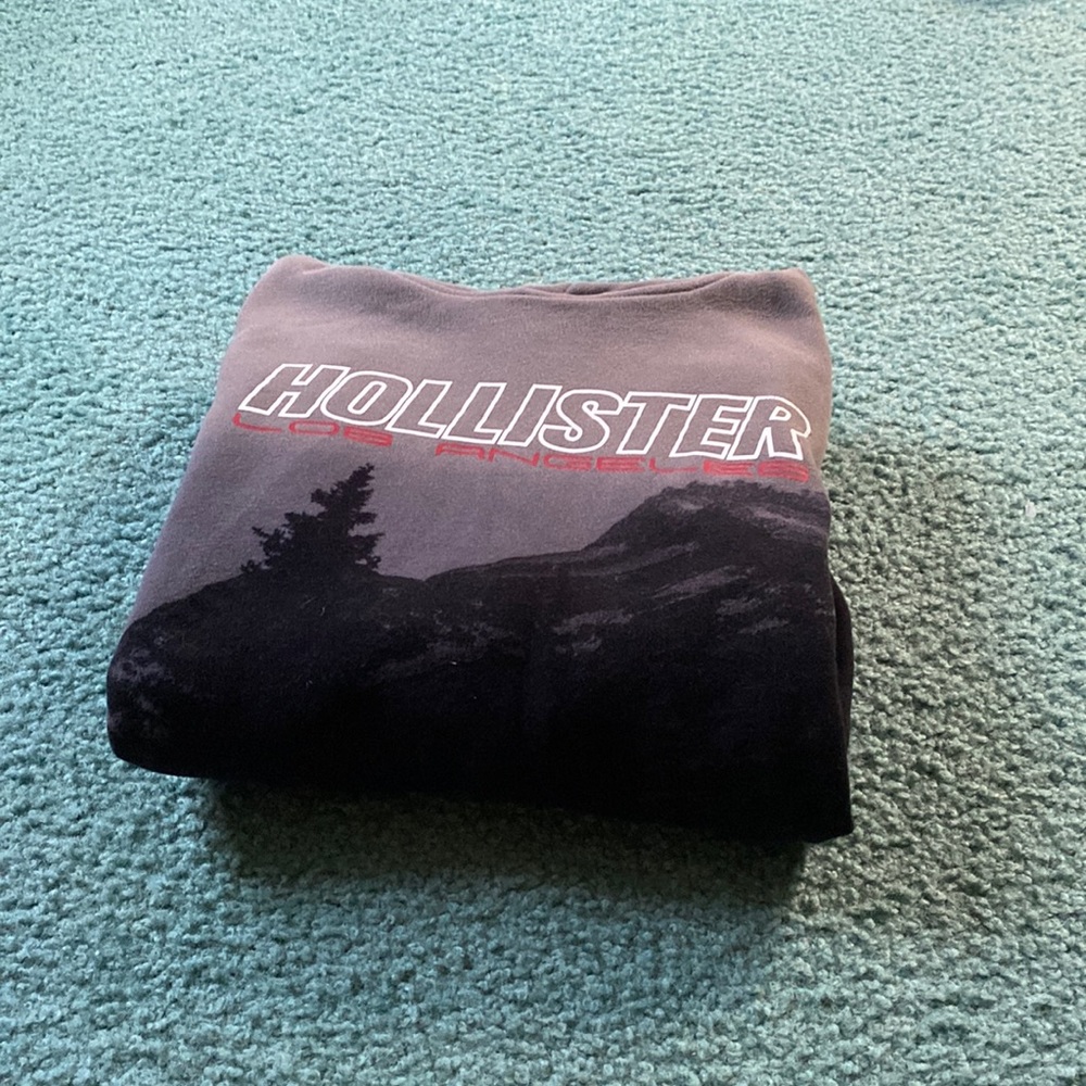Hollister Mens Grey Small Hoodie